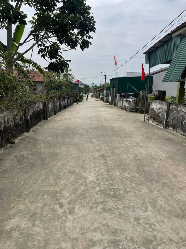 Đất nền khu phố 8, xã Nam Anh, huyện Nam Đàn, 166m² giá 1.2 tỷ - Cơ hội đầu tư tuyệt vời!