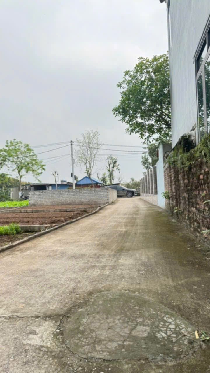 Đất nền Đông Tảo Nam, Khoái Châu 88m² - Sổ đỏ chính chủ, ô tô vào tận nơi!