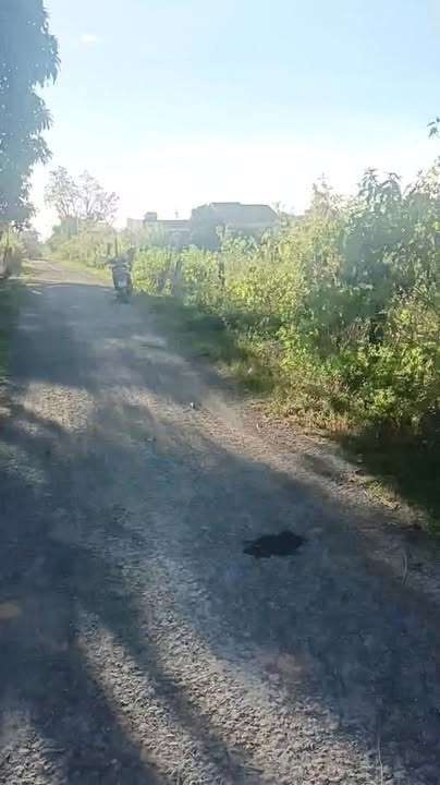 Đất thổ cư 185m² xã Ea Súp Đắk Lắk giá chỉ 245 triệu - Cơ hội đầu tư tuyệt vời!