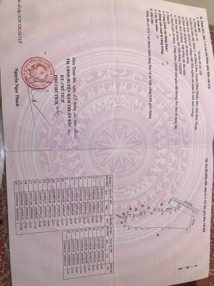 Đất mặt tiền đường nhựa Thôn 1, Hàm Liêm 4600m² - Giá đầu tư hấp dẫn!