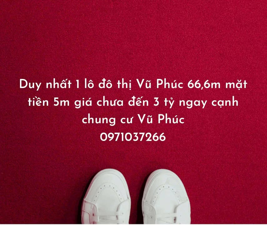 Đất nền dự án Vũ Phúc Thái Bình 66,6m² giá 3 tỷ - Cơ hội đầu tư hiếm có!