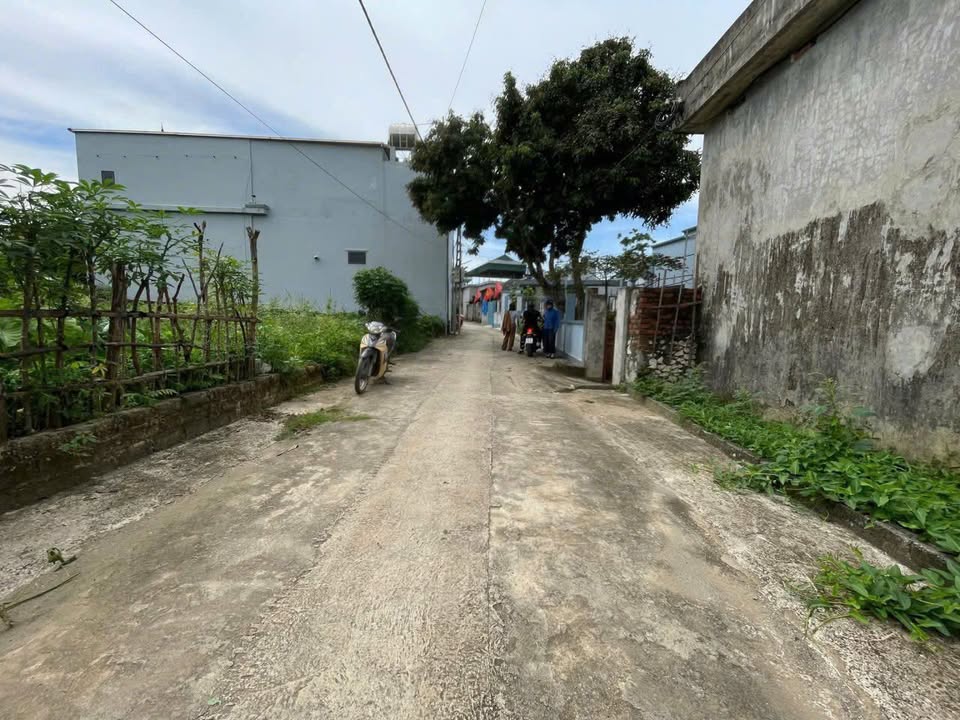 Đất nền Thư Dương, Thư Phú 49.6m² giá 2.45 tỷ - Đầu tư sinh lời hiệu quả!