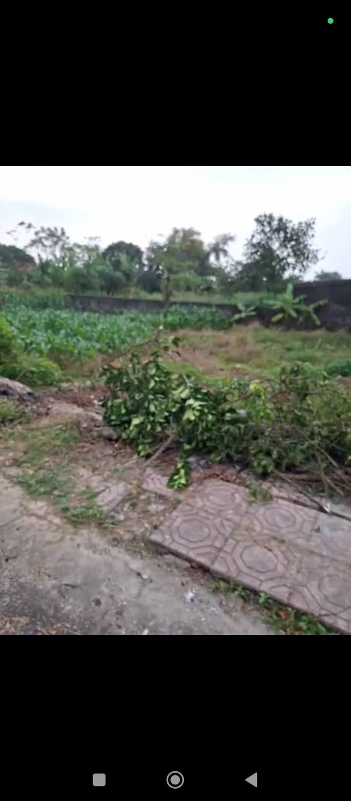 Đất nền phường Đông Hoa Lư 66m² giá 1.5 tỷ - Đường ô tô tránh nhau!