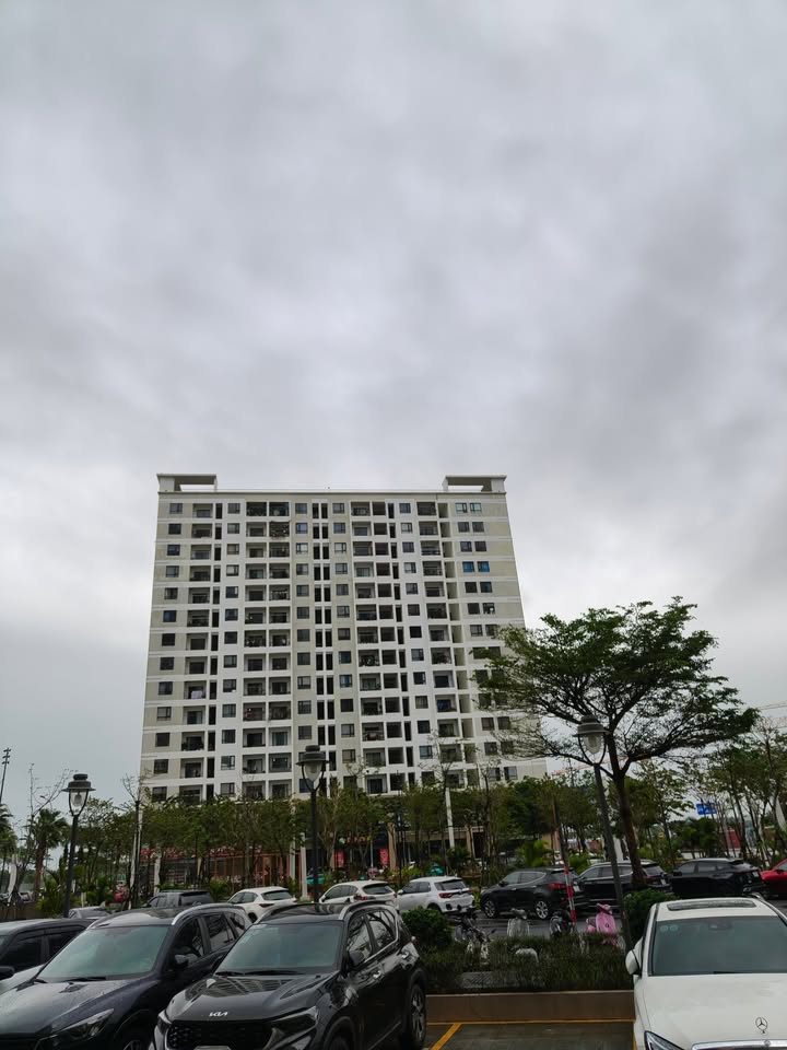 Chung cư FPT Plaza Đà Nẵng 50m² giá 8 triệu - Căn hộ full nội thất hiện đại!