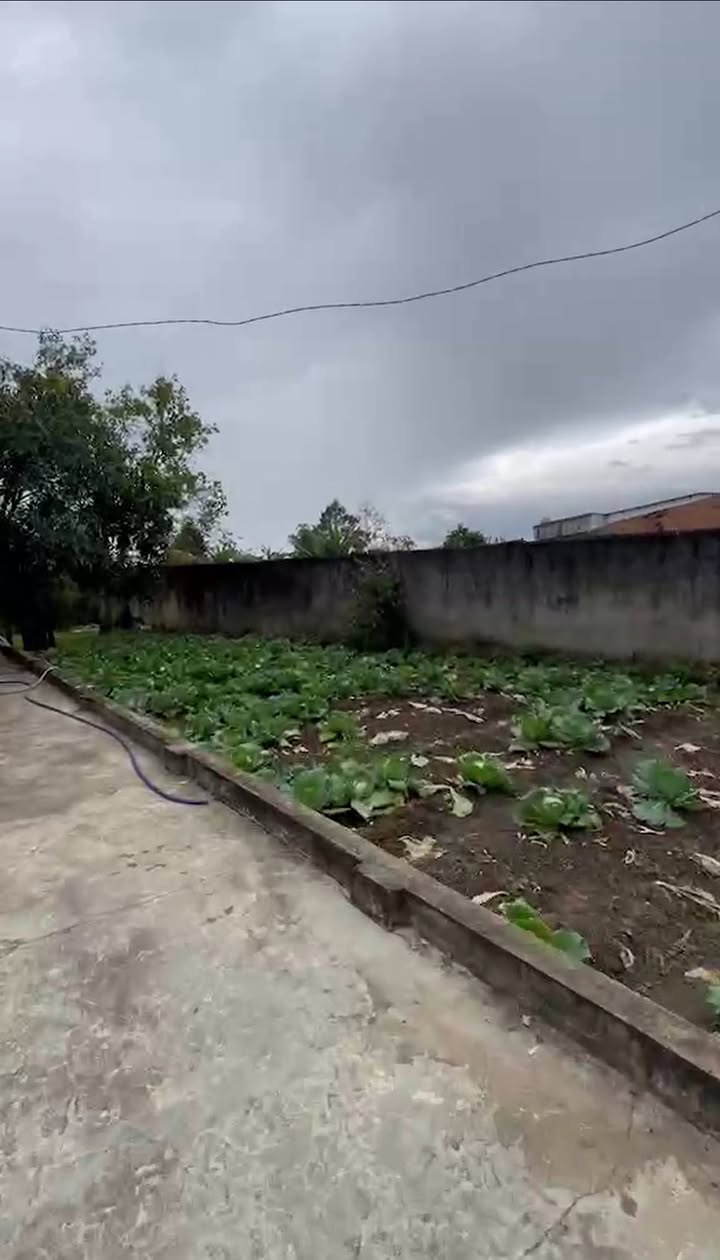 Đất mặt tiền Lê Hồng Phong Đăk Hà 1100m² giá 1 tỷ - Cơ hội đầu tư hấp dẫn!