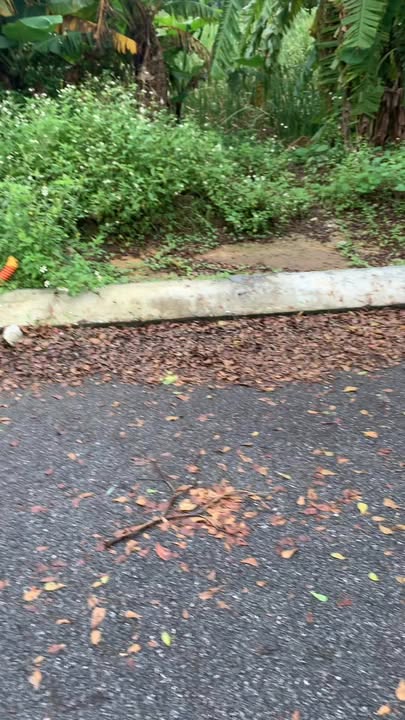 Đất nền Gia Vượng, Gia Viễn 126m² - Hướng Đông, Giá thỏa thuận hấp dẫn!