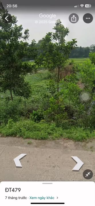 Đất nền Gia Lâm Nho Quan 100m² giá chỉ 1.3 tỷ - Đầu tư sinh lời ngay!