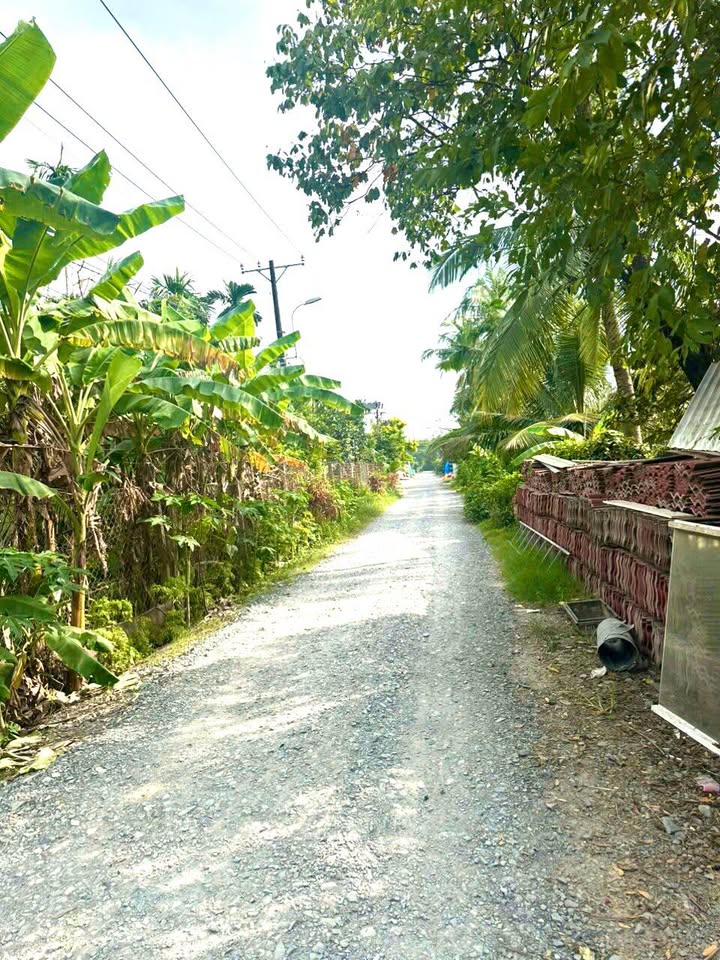 Đất mặt tiền đường Bình Mỹ, Củ Chi 153m² giá 2.4 tỷ - Pháp lý rõ ràng, sang tên ngay!