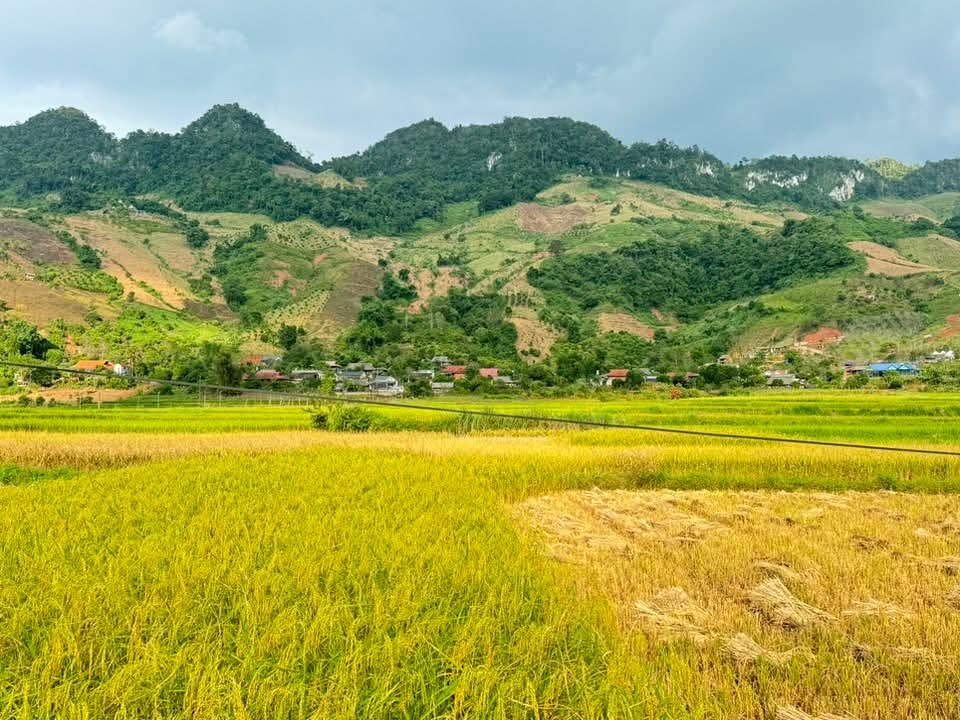 Đất nền 3000m² Mộc Châu - Giá chỉ 2.1 tỷ - Cơ hội đầu tư hấp dẫn!