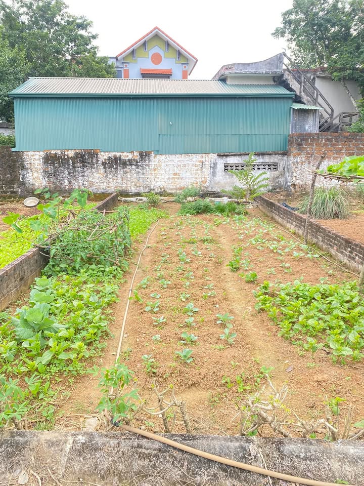 Đất nền Thạch Thất 60m² giá chỉ 2 tỷ - Đường thông Đồi Sen đẹp mắt!