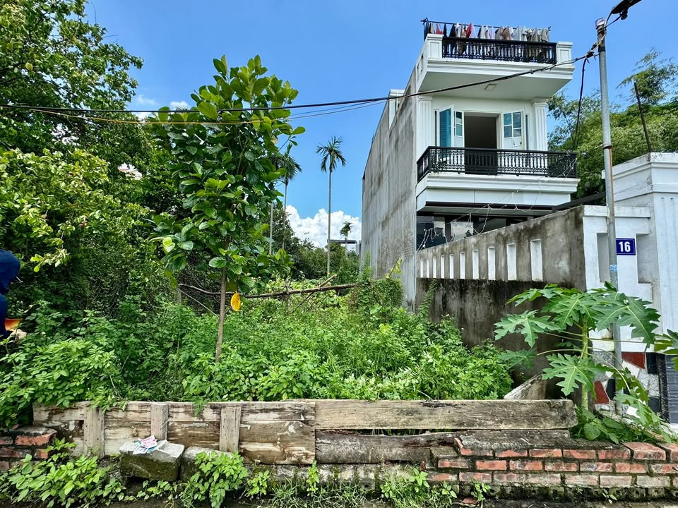 Đất thổ cư Văn Cú Hải Phòng 100m² giá 750 triệu - Đầu tư sinh lời cao!