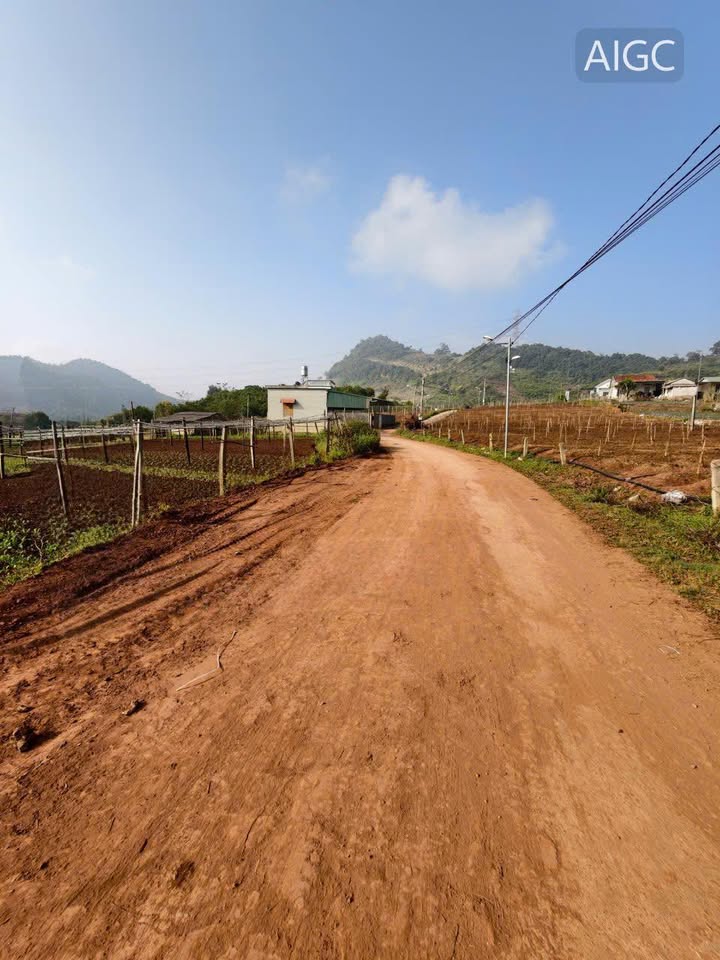 Đất thổ cư An Thái, Mường Sang, Mộc Châu 215m² giá 300 triệu - Chính chủ cần bán gấp!