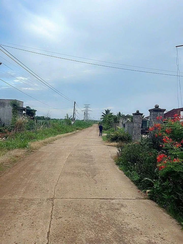 Đất thổ cư Tân Hội 120m² giá 750 triệu - Mặt tiền đường lớn, cơ hội đầu tư tốt!