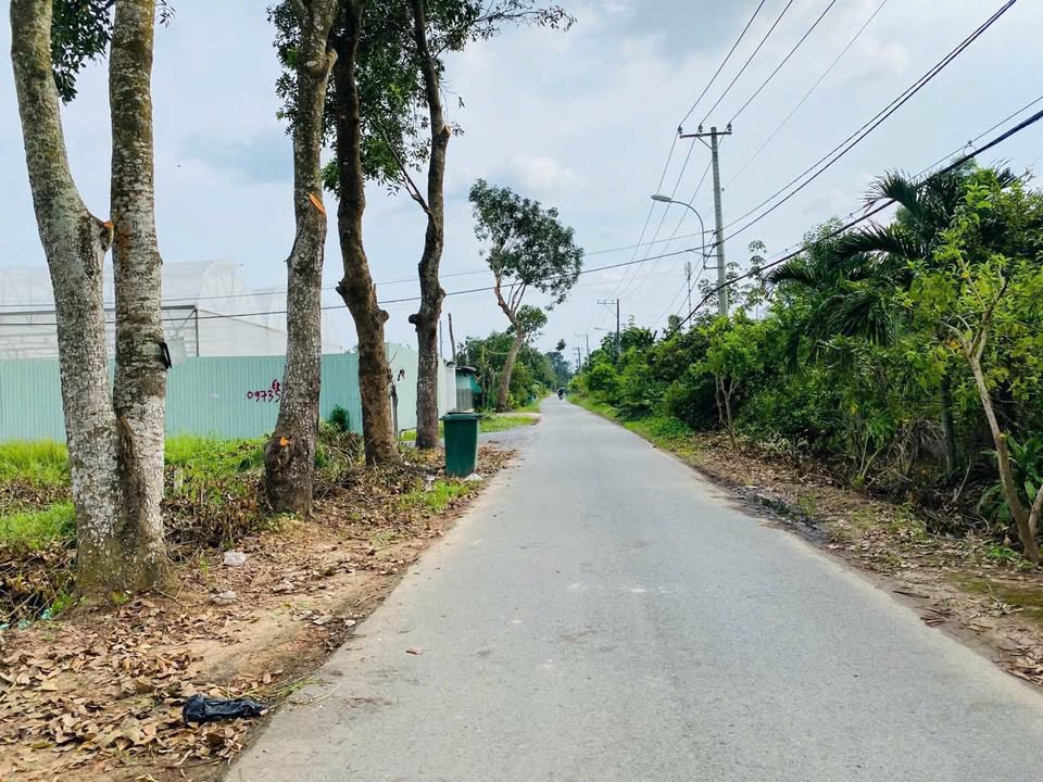 Đất thổ cư 156m² đường Đoàn Minh Triết, Củ Chi - Giá chỉ 1.85 tỷ, thương lượng ngay!