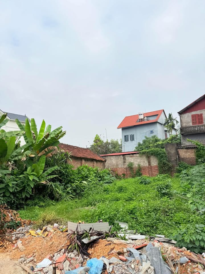 Đất thổ cư Hương Sơn Phú Bình 120m² giá 800 triệu - Sở hữu ngay trước khi hết!