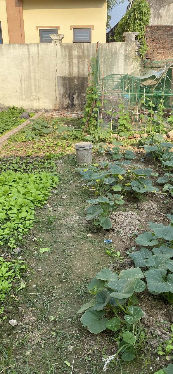 Đất Kim Chung, Đông Anh 46m² giá 3 tỷ - Cơ hội đầu tư hiếm có!