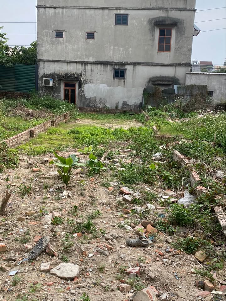 Đất Lương Quy, Thư Lâm 100,8m² giá 4xx triệu - Chính chủ bán gấp!