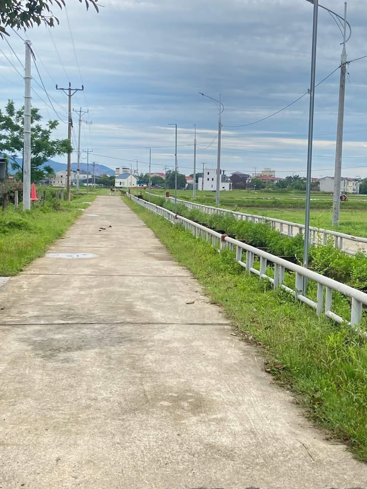 Đất nền thôn Hoa Trung, xã Kỳ Hoa 250m² giá 1.8 tỷ - Mảnh đất đáng sống!