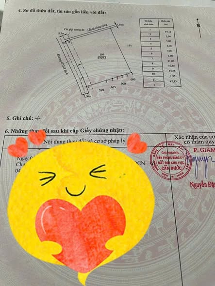 Đất nền 2 mặt tiền đường xe tải tại Ấp 6, Cần Đước, Long An - Đầu tư sinh lời chỉ với 1.7 tỷ!