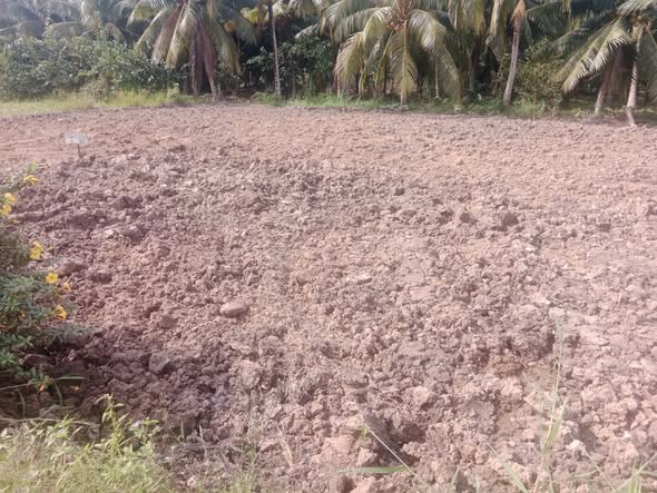 Đất nền Tân Long Hội 120m² giá chỉ 390 triệu - Đầu tư sinh lời ngay!