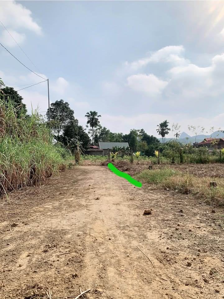 Đất nền Thúy Sơn Ngọc Lặc 149m² - Giá cắt lỗ hấp dẫn!