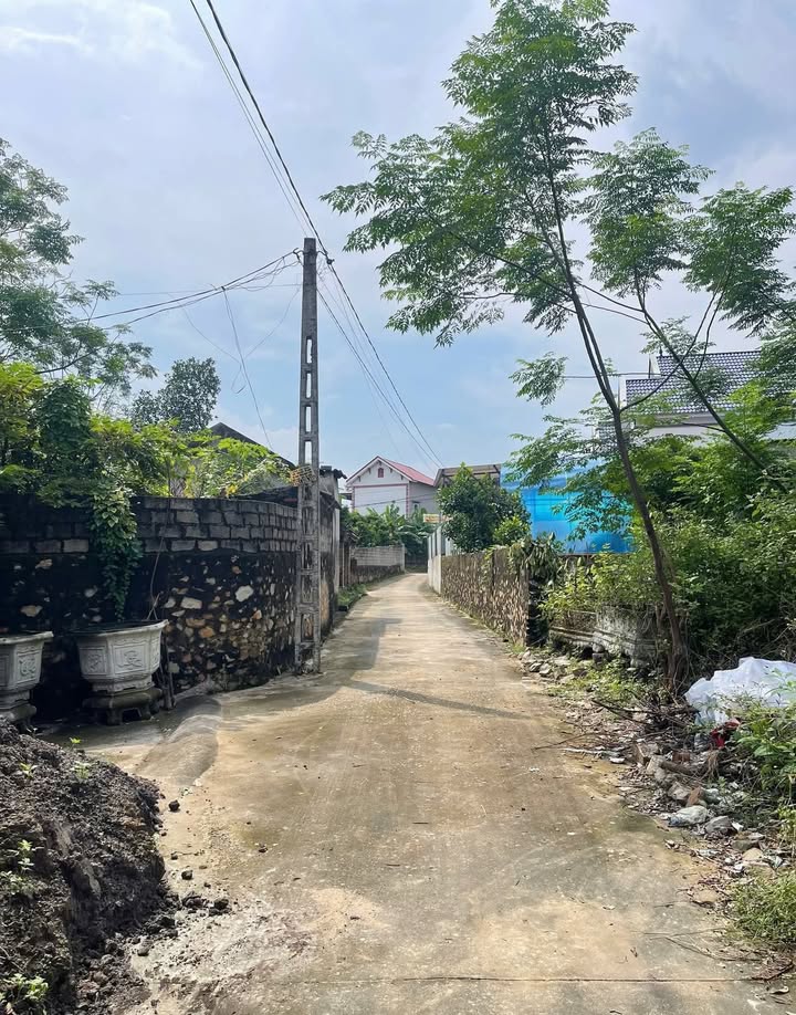 Đất nền Lan Mẫu, Lục Nam, Bắc Giang 104m² giá tốt - Đầu tư sinh lời ngay!