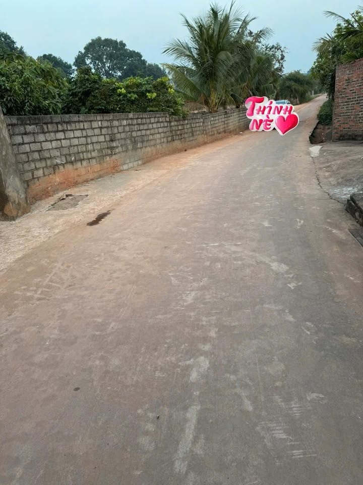 Đất nền Tân Thanh Lạng Giang 1000m² giá 4 tỷ - Đường ô tô tránh nhau, tiện ích đầy đủ!