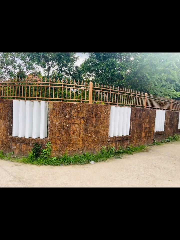 Đất mặt tiền ô tô Tam Ngọc 151m² giá 800 triệu - Đầu tư sinh lời ngay!