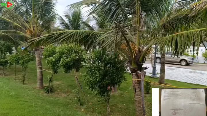 Đất nền nghỉ dưỡng Quảng Thái, Thanh Hóa 502m² giá 6.024 tỷ - Đầu tư sinh lời!