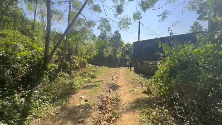 Đất nền Lạc Lương Hòa Bình 3200m² giá 1 tỷ - Lô góc hai mặt tiền, sổ đỏ chính chủ!