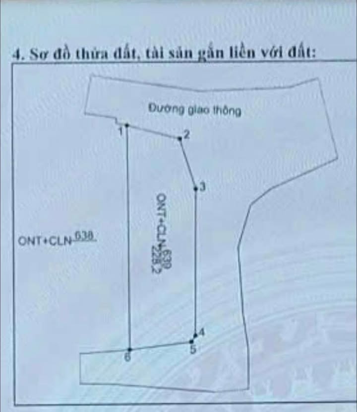 Đất 3 mặt tiền Lam Cốt, Tân Yên 220m² giá 1 tỷ - Tiềm năng sinh lời cao!