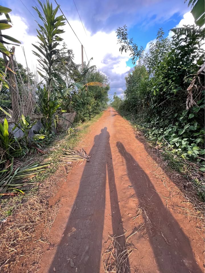 Đất thổ cư 500m² tại thôn Klâu Lah, xã Ya Chim, giá chỉ 200 triệu - Sổ đỏ chính chủ!