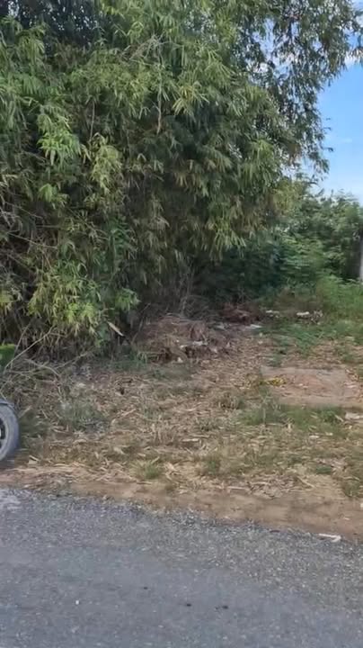 Đất thổ cư mặt tiền đường Bờ Chùa 150m² giá 2.3 tỷ - Đầu tư sinh lời ngay!