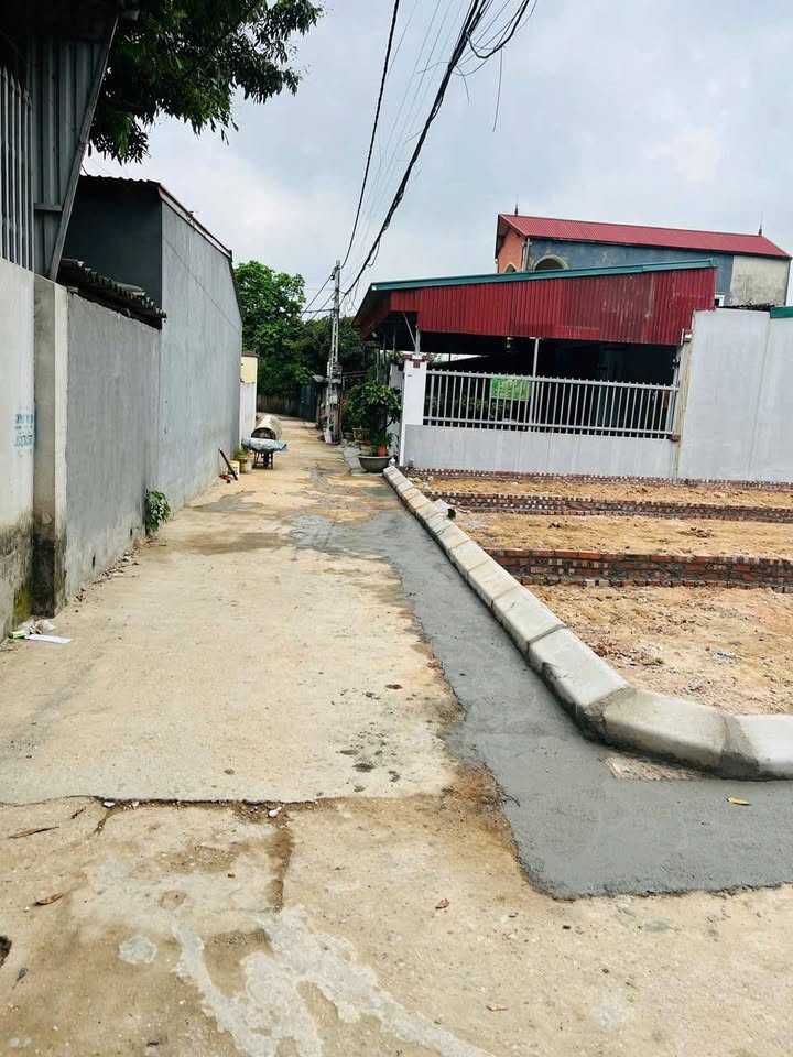 Đất nền Tiên Dược 82m² giá thỏa thuận - Lô góc hiếm có tại Dược Hạ!