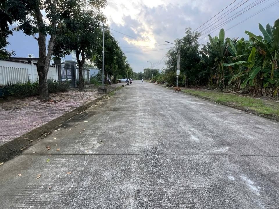 Đất nền đẹp đường Tố Hữu, Cà Mau 100m² - Vị trí đắc địa, giá tốt!