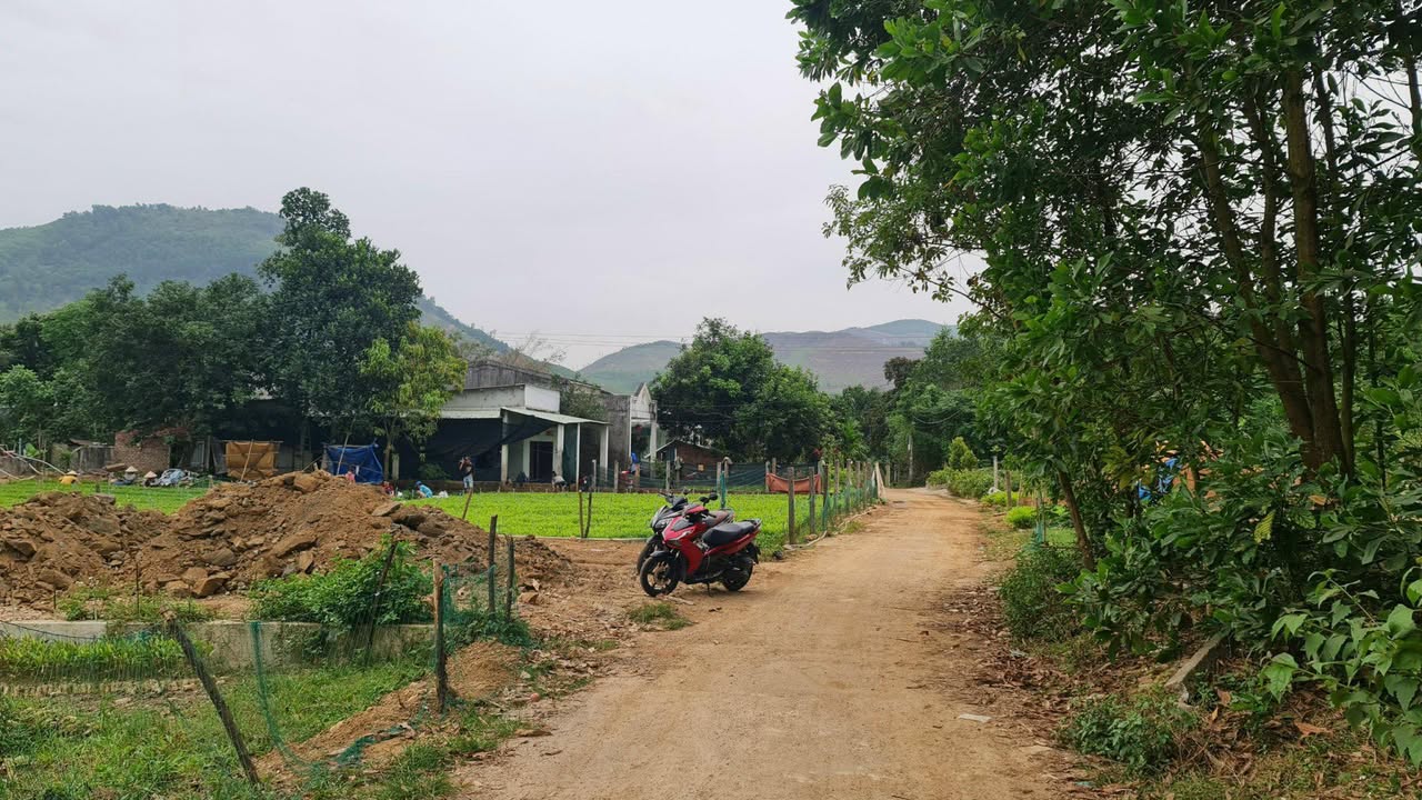 Đất nền Hòa Nhơn Đà Nẵng 320m² giá 1 tỷ - Đầu tư sinh lời ngay!