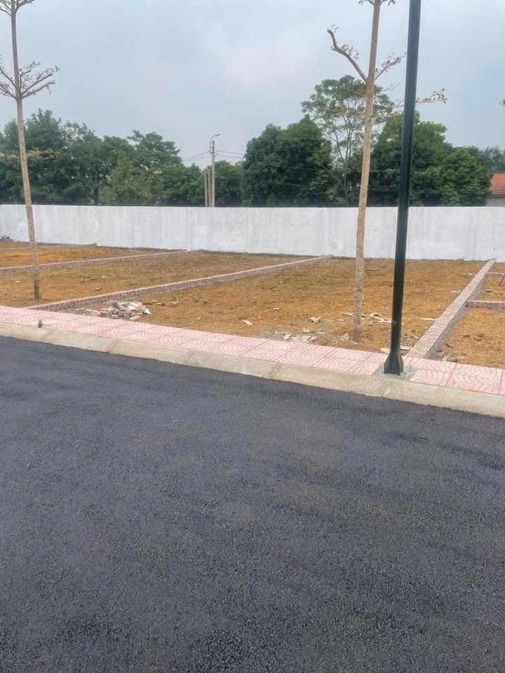 Lô đất Cổ Đông Sơn Tây 100m² - Sổ hồng chính chủ, vị trí đắc địa!