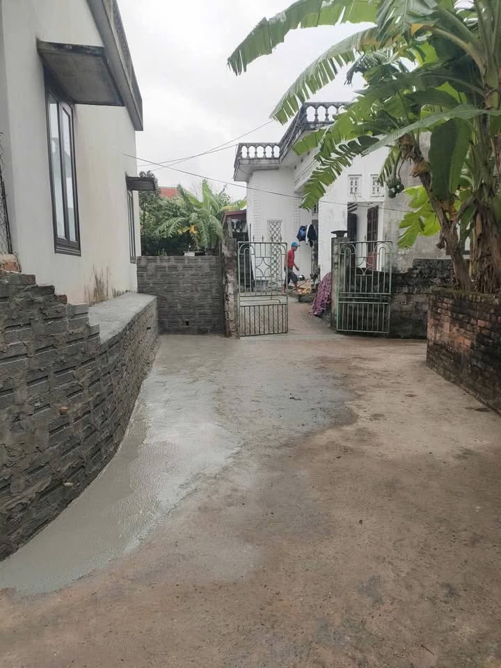 Đất lô góc 450m² tại Bồ Đề, Bình Lục - Giá chỉ 1 tỷ VND!