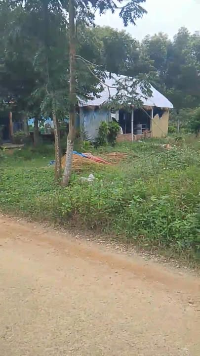 Đất Thổ Cư Thôn Quý Thạnh 2 - 226m² chỉ 600 triệu - Cơ hội đầu tư tuyệt vời!