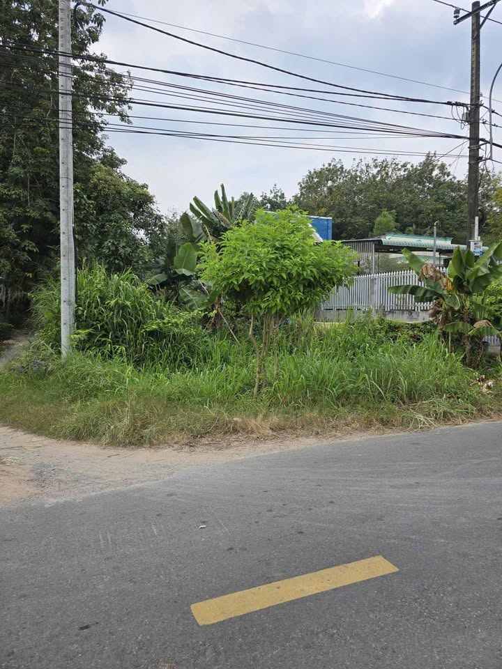 Đất mặt tiền đường Bến Đình, 500m² chỉ 4.5 tỷ - Vị trí đẹp, đầy tiềm năng!