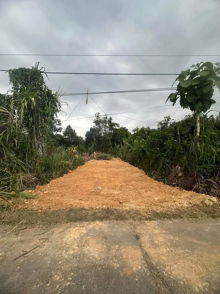 Đất nền Phú An, Tân Phú 138m² giá 499 triệu - Đầu tư sinh lời hấp dẫn!