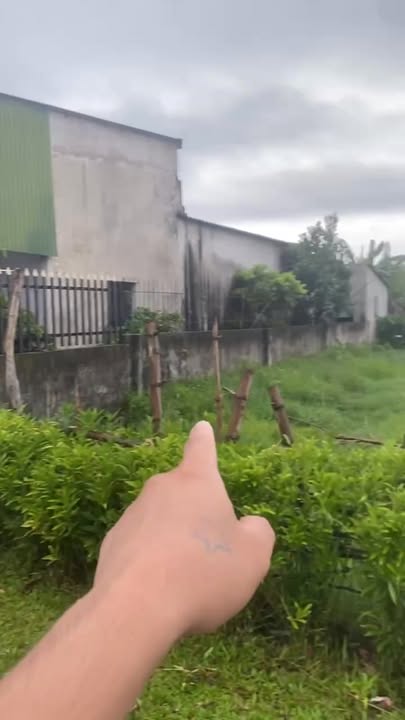 Đất thổ cư thôn Đông Thuận, xã Cẩm Thịnh 299m² giá 900 triệu - Cơ hội đầu tư tuyệt vời!