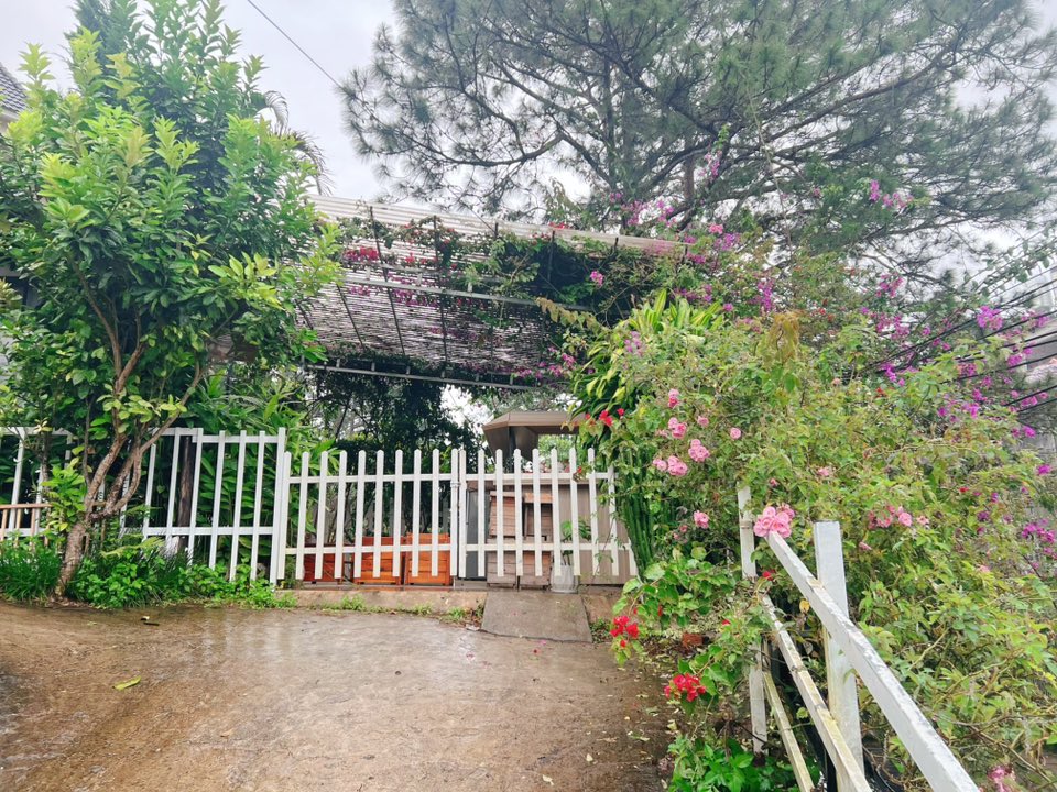 Nhà nguyên căn Đống Đa, Đà Lạt 60m² giá chỉ 9 triệu - Thích hợp ở hoặc kinh doanh!