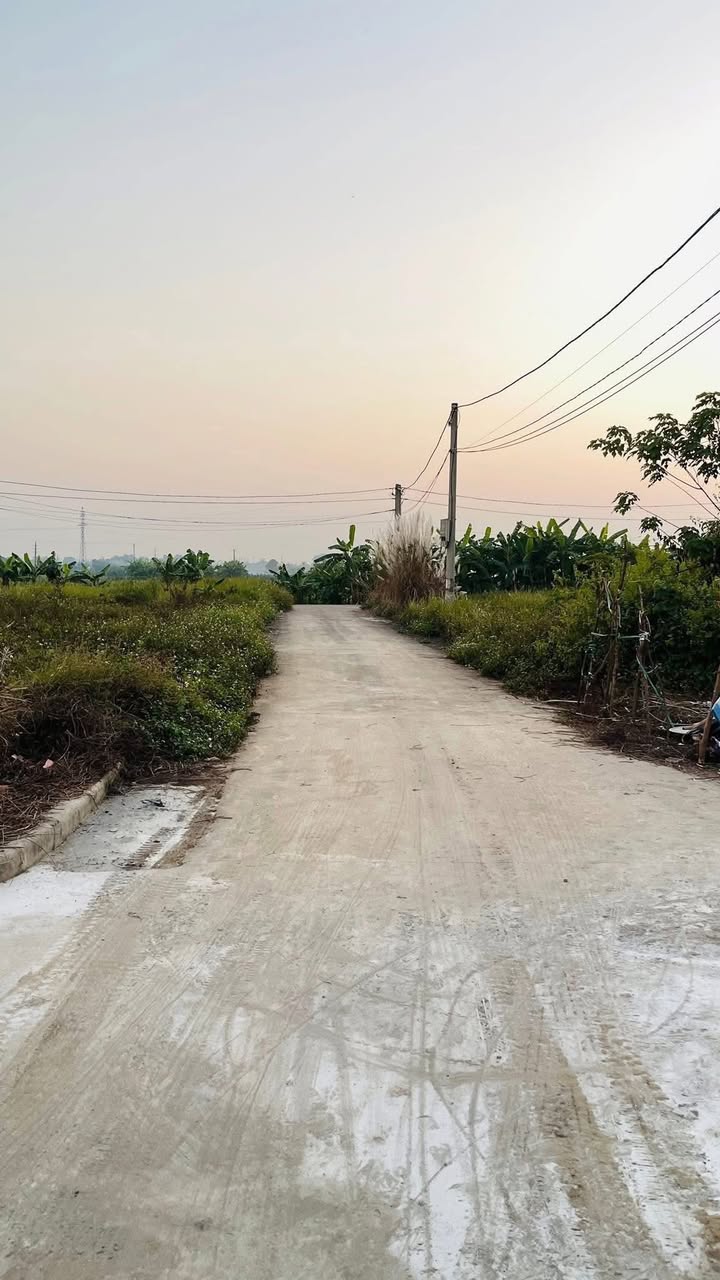 Đất nền đấu giá K4 Dân Quyền Tam Nông 213m² - Cơ hội đầu tư tuyệt vời!