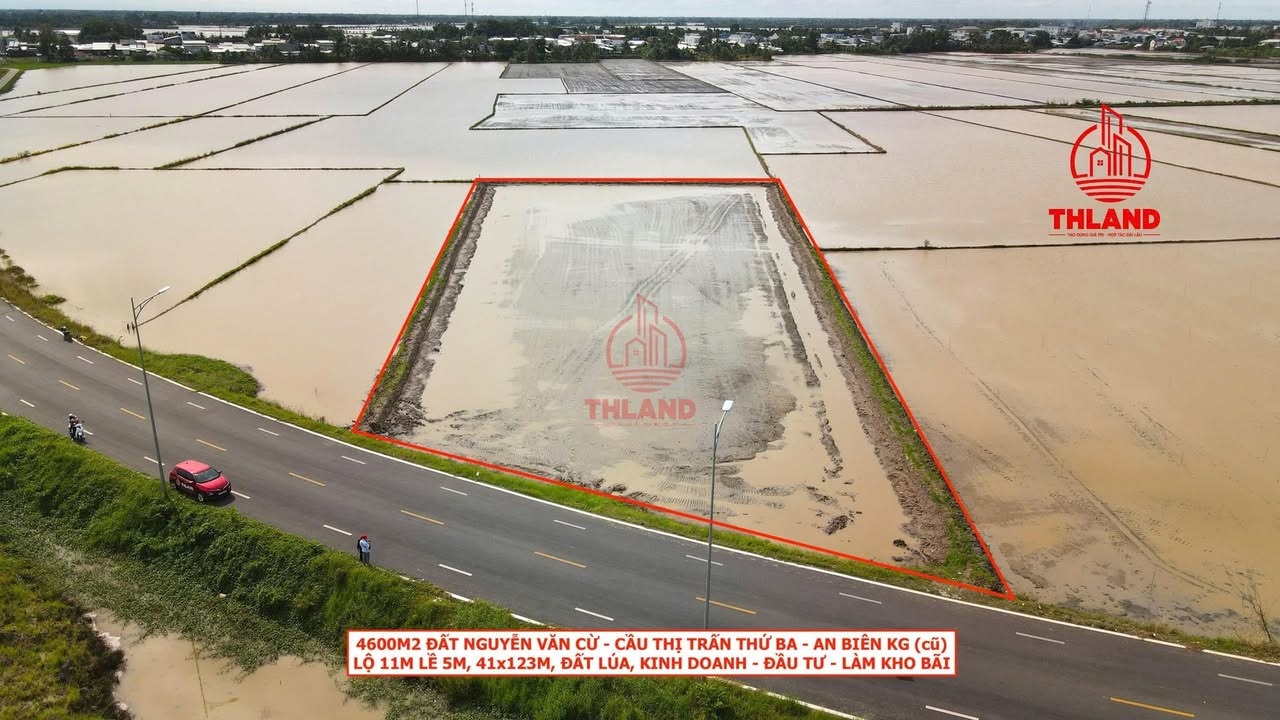 Đất lúa 4.600m² Nguyễn Văn Cừ, An Biên chỉ 5,52 tỷ - Đầu tư sinh lời!