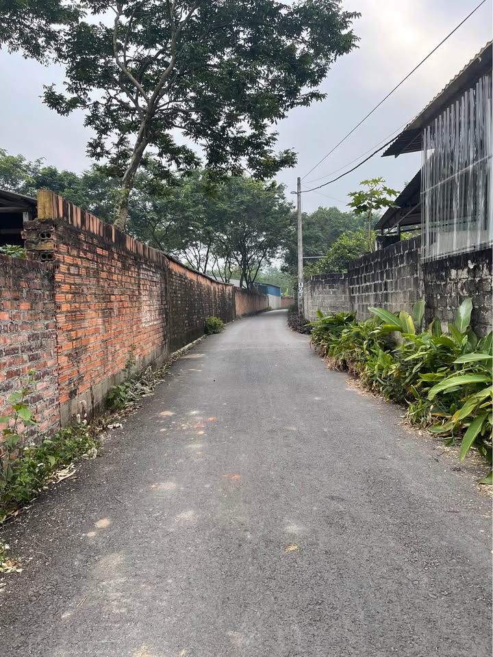 Lô Đất Chính Chủ Tam Đảo 320m² giá 1.9 tỷ - Tiềm năng đầu tư lớn!