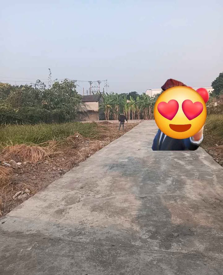 Đất Hồng Vân Thường Tín 52.1m² giá 3 tỷ - Nở hậu đón Tài Lộc!