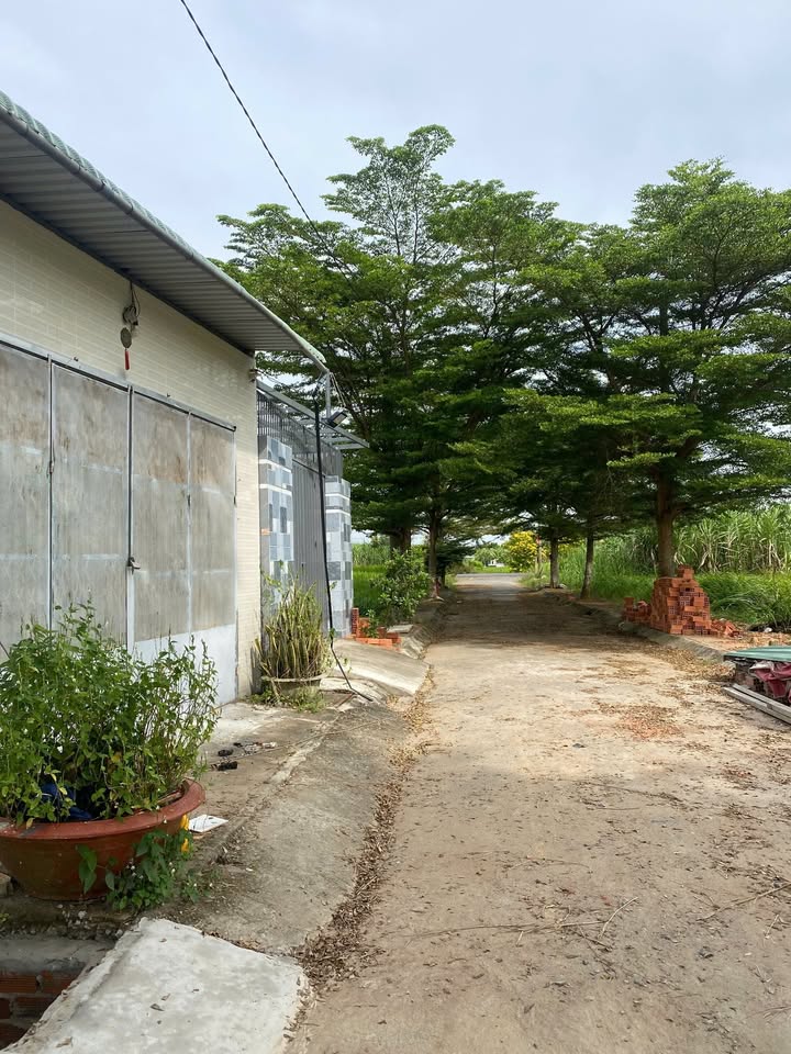 Nhà cấp 4 Ấp Bình Tây - Tân Bình - 140m² giá 1.35 tỷ - Sẵn sàng vào ở!