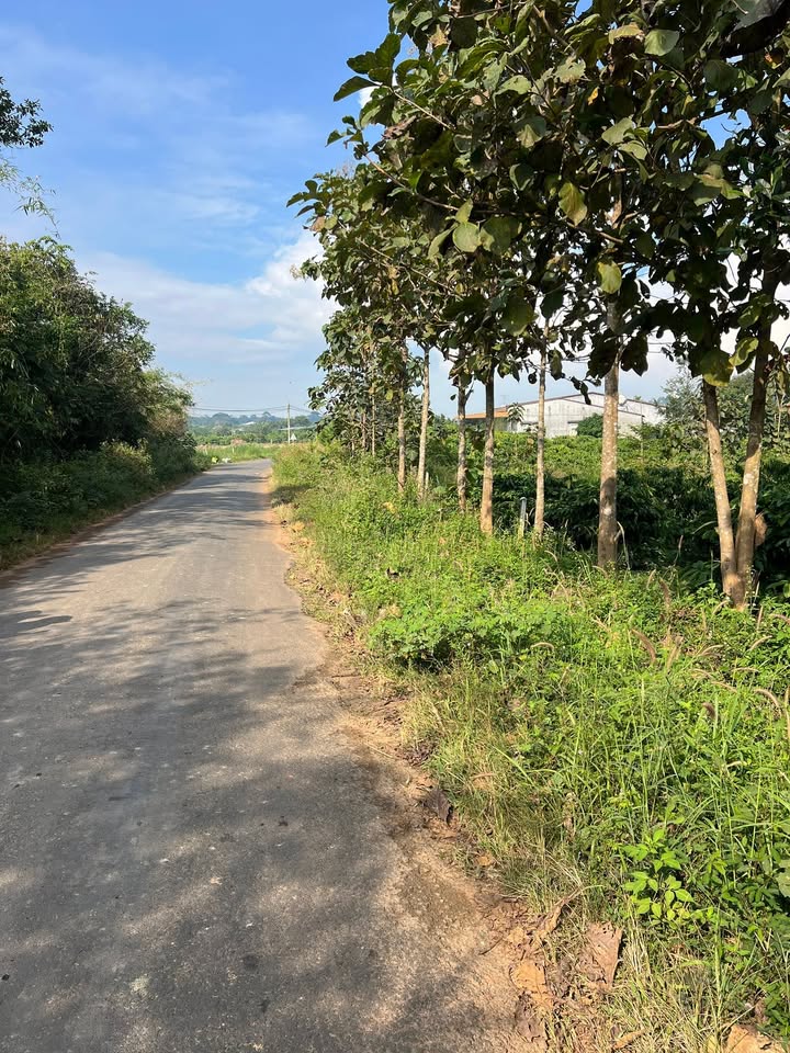 Đất nền thổ cư Nam Đà, Krông Nô 190m² giá 1.4 tỷ - Nằm trong khu dân cư đông đúc!