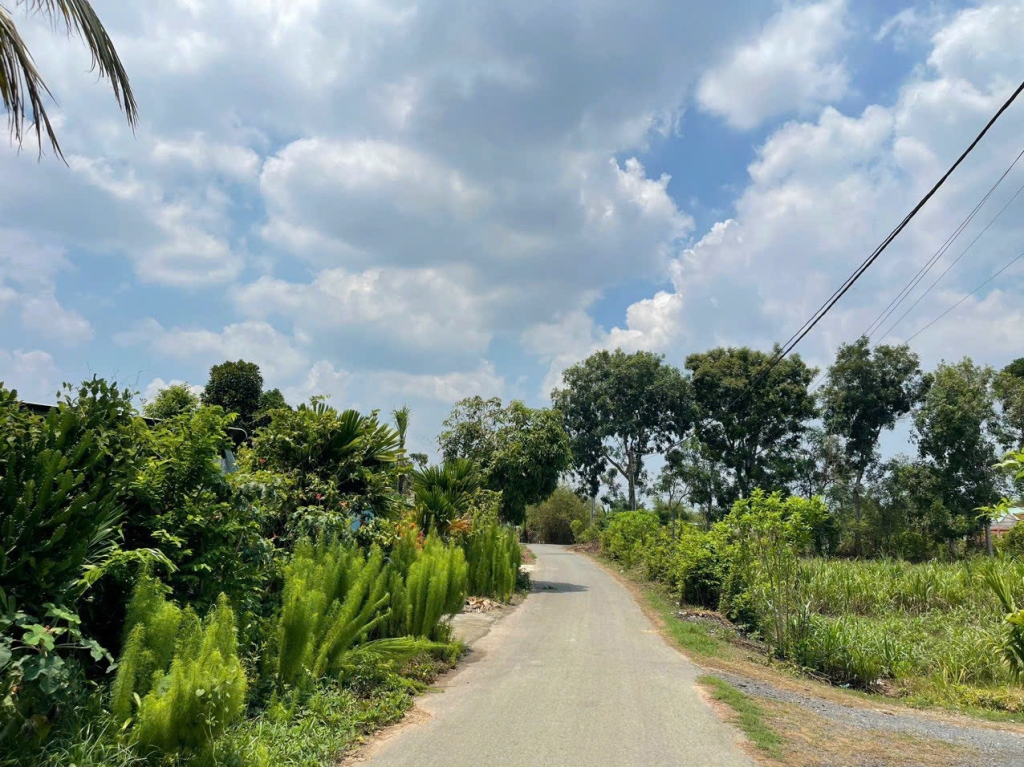 Lô đất đẹp Thái Mỹ 210m² giá 1.32 tỷ - Sổ hồng chính chủ, phù hợp an cư & đầu tư dài hạn!